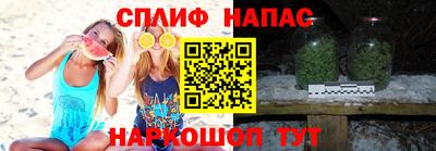 индика Обь